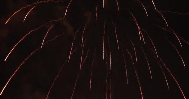 Feuerwerk hinter dem dunklen Himmel in der Nacht. koutou-ku odaiba tokyo japan - 12.08.2018: es ist eine Stadt in Tokio. Kamera: canon eos 5d mark4 - Filmmaterial, Video