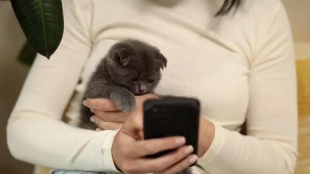 Donna con gattino scozzese sul divano tramite telefono, app per smartphone, comunicazione di animali domestici e proprietari, amicizia umana e animale. - Filmati, video