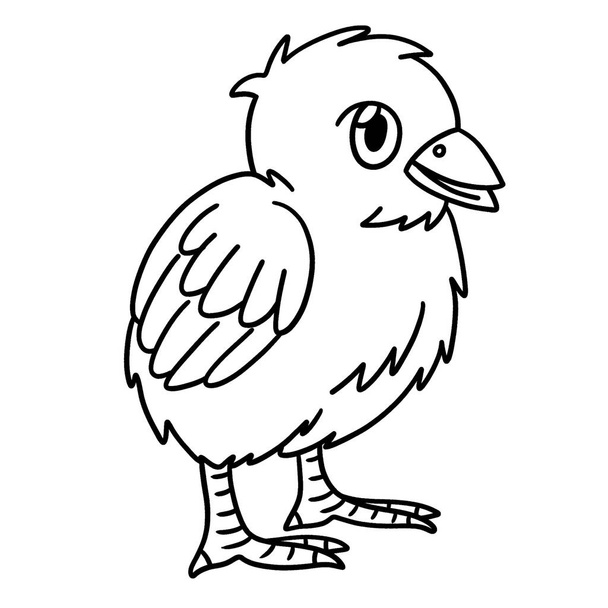 A cute and funny coloring page of a chick farm animal. Provides hours of coloring fun for children. To color, this page is very easy. Suitable for little kids and toddlers. - Vector, Image