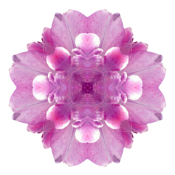 Flower mandala isolated on white background - Foto, Imagen