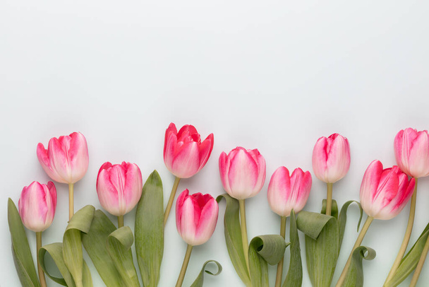 Pink tulip flowers on pastel background. - Foto, Imagem