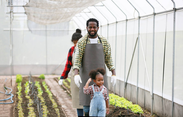 Змішана расова сім'я з дочкою проводить час разом на органічній фермі. Афроамериканська сім'я. - Фото, зображення