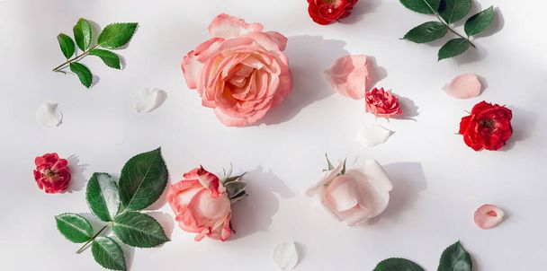 Nyári minta készült gyönyörű rózsabimbók fehér háttér. Természet koncepció. Minimális stílus. Első látásra. Lapos fektetés - Fotó, kép