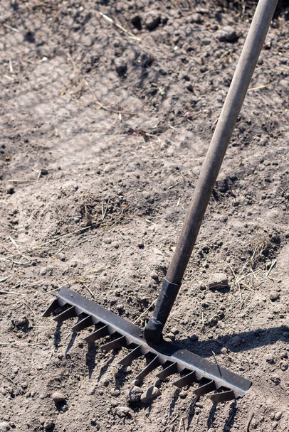 Close up photo of a garden rake on a bed. Old black metal rake on dry soil, in the garden. Spring cleaning. Selective focus. Yard area cleaning - Foto, Imagen