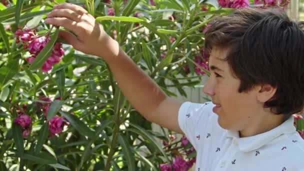 Teenage Boy Μυρίζει Μωβ Λουλούδια στο πάρκο Πλάνα. - Πλάνα, βίντεο