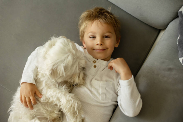 Aranyos szőke gyerek, kisgyerek, otthon fekszik a kanapén a kutyájával. - Fotó, kép