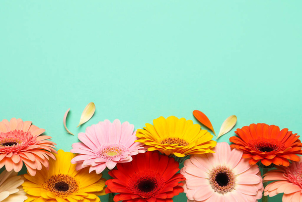 Beautiful colorful gerbera flowers and petals on turquoise background, flat lay. Space for text - Foto, imagen