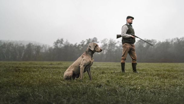 A hunter man with dog in traditional shooting clothes on field holding shotgun. - Photo, Image
