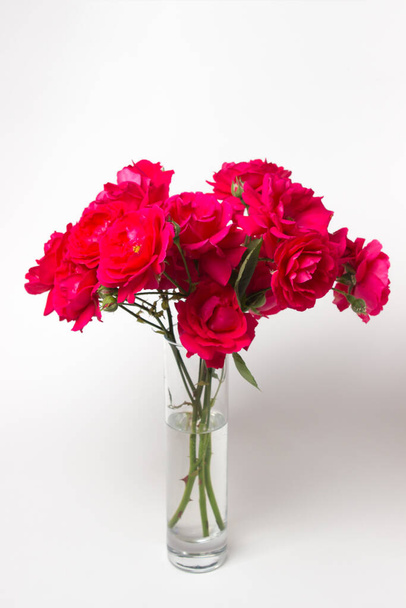 Rote Rosen auf weißem Hintergrund. Strauß roter Rosen. Schöne Blumen - Foto, Bild