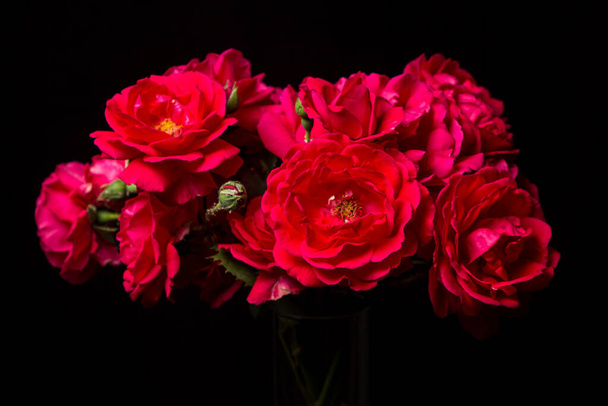 Rosas vermelhas sobre um fundo branco. Buquê de rosas vermelhas. Lindas flores - Foto, Imagem