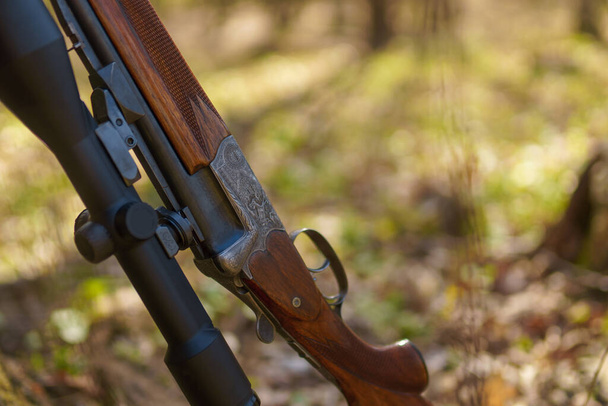 A hunters rifle gun near tree in forest. - Zdjęcie, obraz