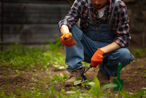 Caring hands of farmer planting a plant, bell pepper in vegetable garden in early spring time. Concept natural products, bio ecology, grow vegetables, fresh product. Small, local farm, outdoors. - Foto, Imagen