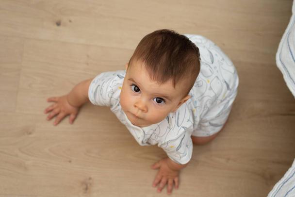 Nine month baby crawling on wooden floor while is looking up with a serious gesture. - Zdjęcie, obraz