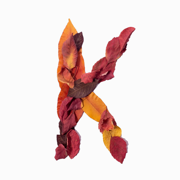 letter K herfst bladeren isoleren op witte achtergrond. - Foto, afbeelding