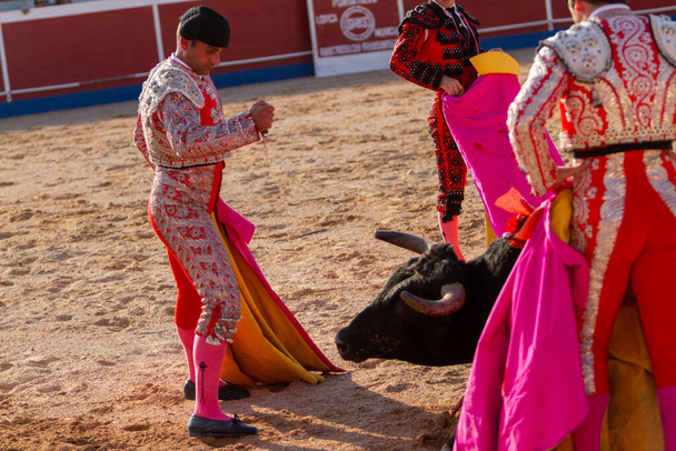 a Spanish bullfighter during his performance in the bullfight - Photo, Image