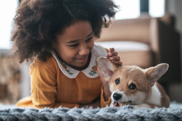 Friends. A curly-haired girl in orange dress playing with a puppy - Fotoğraf, Görsel
