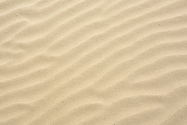 Ondulaciones de arena creadas por el viento en la arena fina de la playa junto al mar Báltico - Foto, Imagen