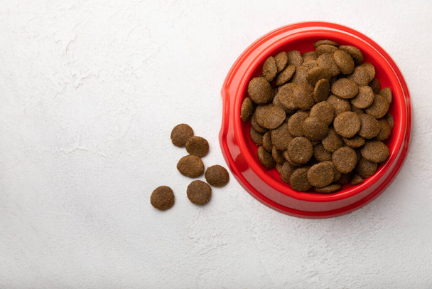 Comida seca para perros en un tazón rojo sobre un fondo de cemento. Vitaminas y nutrientes para una buena salud y energía de las mascotas.. - Foto, Imagen