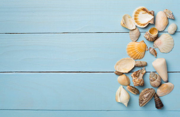 Sea shells on wooden background, top view. Summer concept. - Фото, изображение