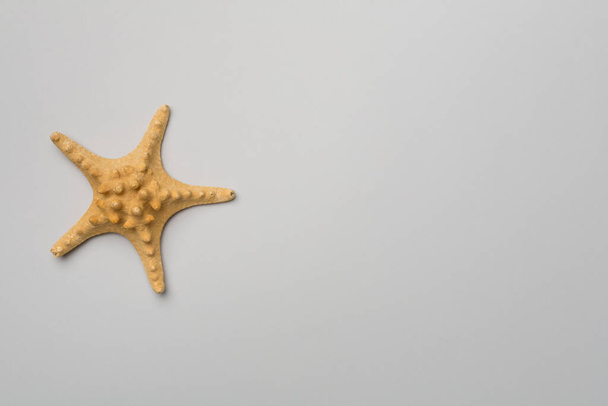 Starfish on color background, top view. - Φωτογραφία, εικόνα