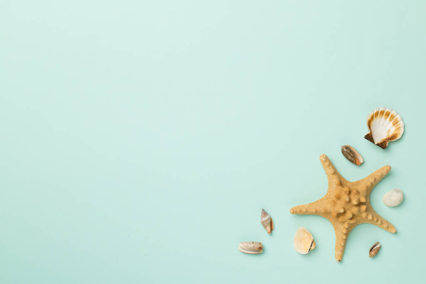 Sea shells on color background, top view. Summer concept. - Photo, Image