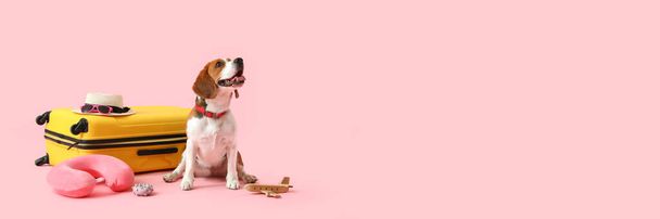 Мила собака Beagle з валізою та аксесуарами для подорожей на рожевому фоні з простором для тексту
 - Фото, зображення