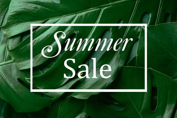 Cartaz para venda de verão com folhas tropicais verdes - Foto, Imagem