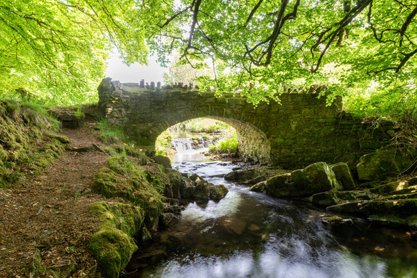 El río Weir Water fluye bajo el puente de los ladrones en el Parque Nacional Exmoor - Foto, Imagen