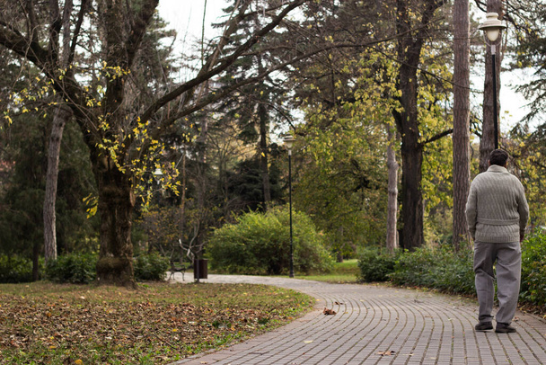 Ανώτερος άνθρωπος περπάτημα και χαλάρωση στο πάρκο. Περπάτημα μακριά, χαλαρωτικό, πίσω όψη - Φωτογραφία, εικόνα