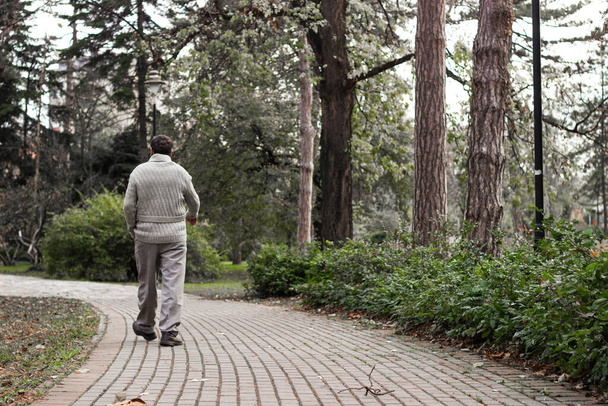 老人は公園を歩いてリラックスしている。歩く、リラックスする、リアビュー - 写真・画像