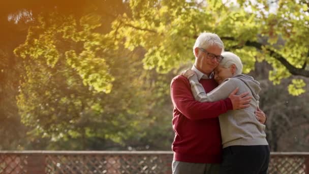 Starsze małżeństwo przytulające się w parku średniej wielkości przestrzeń na zewnątrz. Wysokiej jakości materiał 4k - Materiał filmowy, wideo