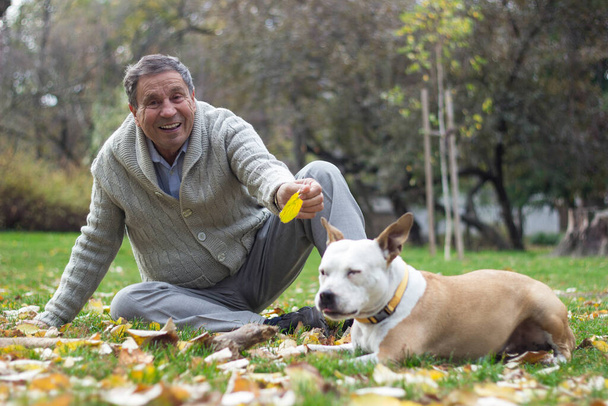 Portrait d'un aîné souriant jouant sur l'herbe avec son chien, dans le parc public, à l'extérieur - Photo, image
