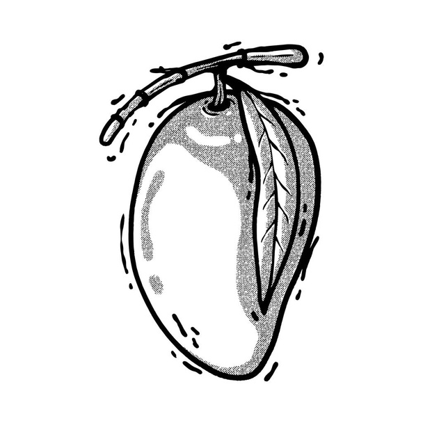 Croquis de mangue fraîche. technique de dessin à la main. art de ligne - Vecteur, image