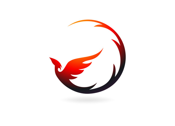 Phoenix logo design symbole vecteur
 - Vecteur, image
