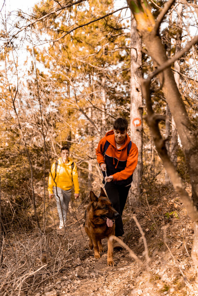 Дивовижні і красиві друзі чоловічої статі ходять в лісі зі своїм собакою разом, насолоджуючись своїм часом
 - Фото, зображення