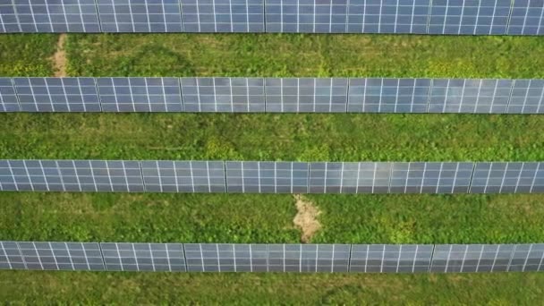 Dlouhé řady fotovoltaických slunečních panelů instalovaných na polní zelené trávě. Moderní solární články vyrábějí zelenou obnovitelnou energii ve staničním leteckém pohledu - Záběry, video