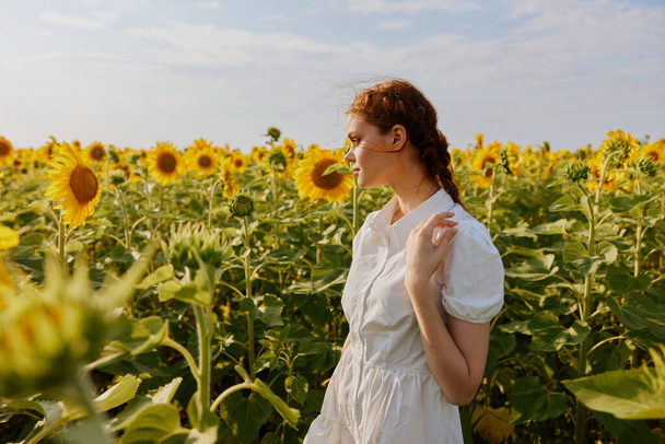 woman with two pigtails looking in the sunflower field landscape. High quality photo - Photo, Image