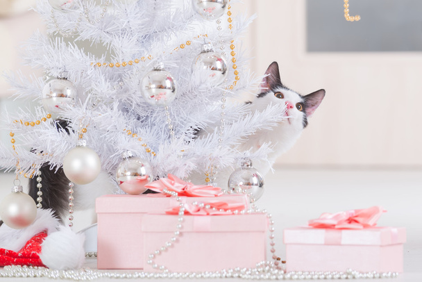 Kis macska játszik Karácsonyfa dísztárgyak - Fotó, kép