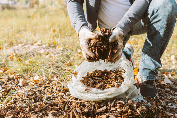 mains de l'homme dans les gants de jardinage mettre paillis de copeaux de bois dans le sac. Recyclage du bois recyclé, paillage, utilisation des déchets naturels pour enrichir le sol, compostage des déchets naturels - Photo, image