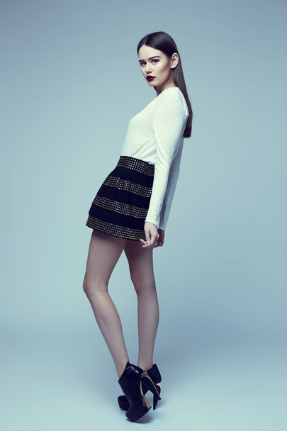 high fashion portrait of young elegant woman in black skirt and  - Photo, image