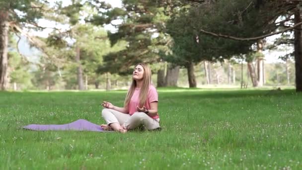 valkoihoinen kypsä nainen, jolla on mukavat vaatteet, joogaa luonnossa auringonlaskun aikaan hengellisessä retriitissä - Materiaali, video