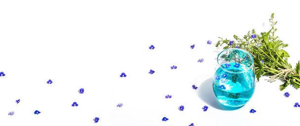 Koud tonic water en blauw vergeet me niet bloemen boeket geïsoleerd op een witte achtergrond. Voorjaarsconcept, bloemenelement, een hard licht, donkere schaduw, selectieve focus, close-up, bannerformaat - Foto, afbeelding