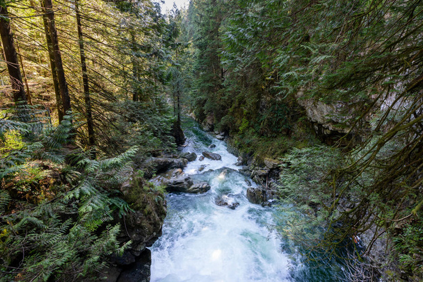 Lynn Canyon Park Twin Falls, North Vancouver, British Columbia, Canada. - Photo, image
