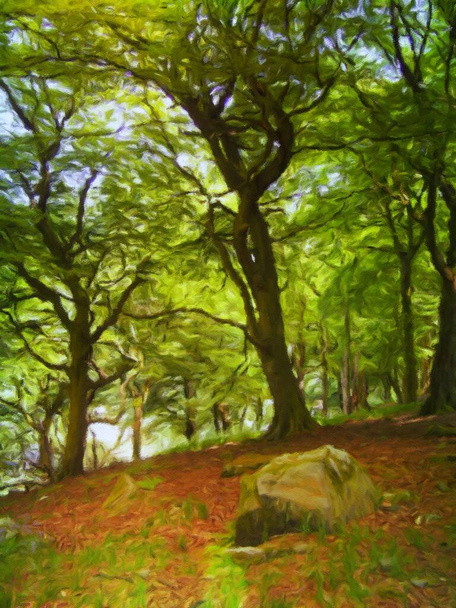 pintura digital de estilo impresionista de una escena forestal con grandes hayas con hojas iluminadas por el sol brillante de la mañana y rocas en el suelo - Foto, Imagen
