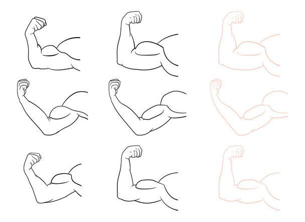 Ilustración del diseño del vector del brazo muscular aislado sobre fondo blanco - Vector, Imagen