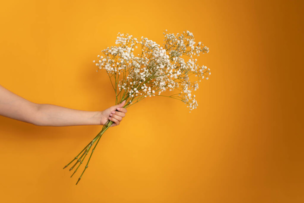 Жіноча рука з красивими квітами гіпсофіли на кольоровому фоні. Високоякісна фотографія
 - Фото, зображення