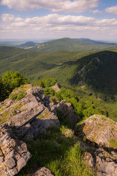 The rocky peak of the mountain protrudes from the forest - Фото, зображення