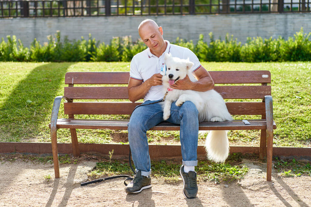 Samoyed chien avec son homme propriétaire au parc jouer ensemble. - Photo, image