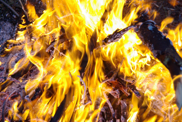 Burning flame or fire - Foto, afbeelding