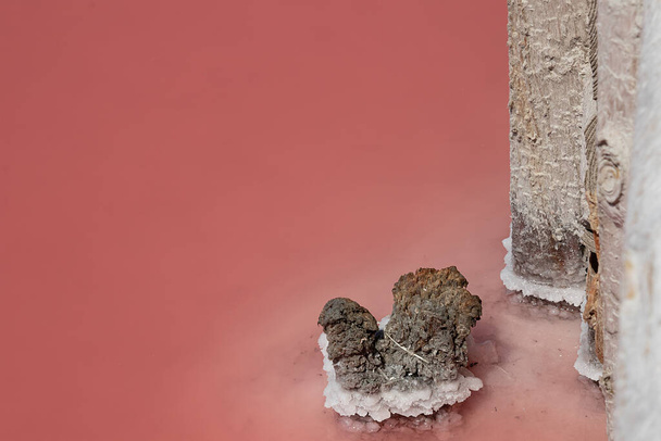 Cristalización de la sal en pilares de madera en un lago de sal rosa. Extracción de sal por evaporación - Foto, Imagen